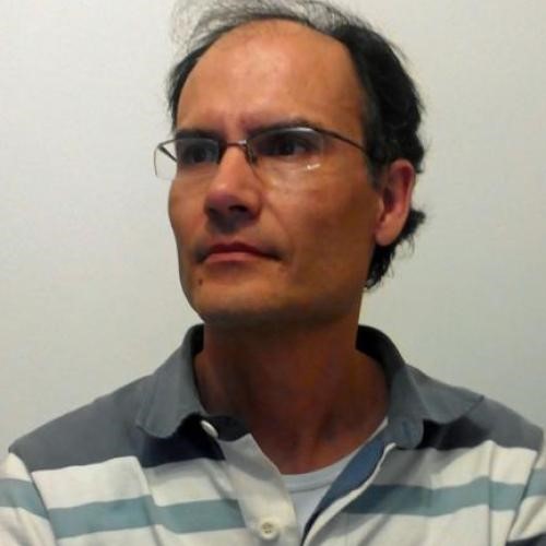 Portrait of Guest Editor Leonel  Pereira 